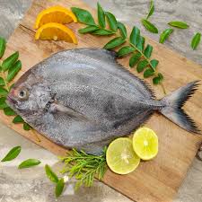Black Pomfret(500g)