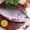 Fresh Catla (1.5 Kg)