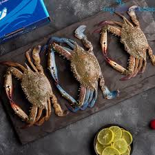 Blue Crab(250g)